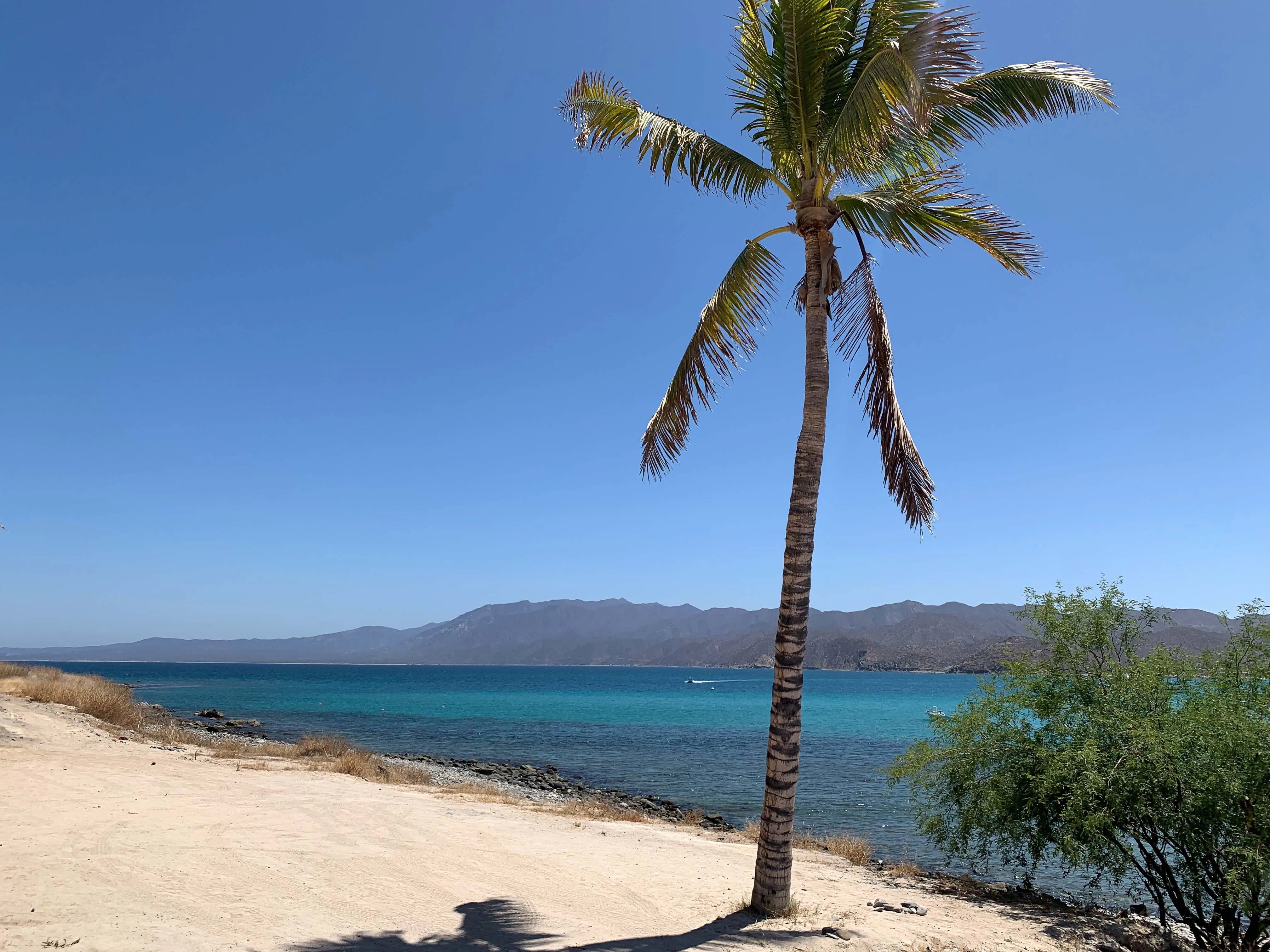 Back to Baja California