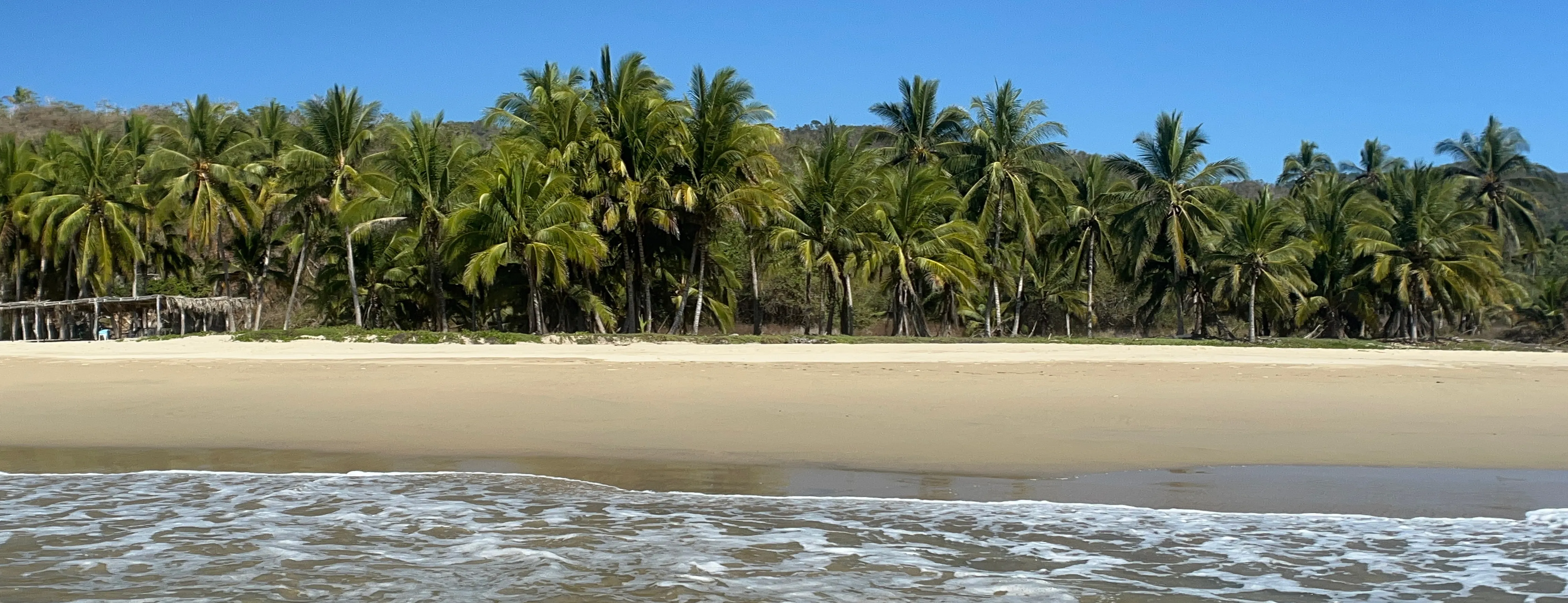 Tropical beach