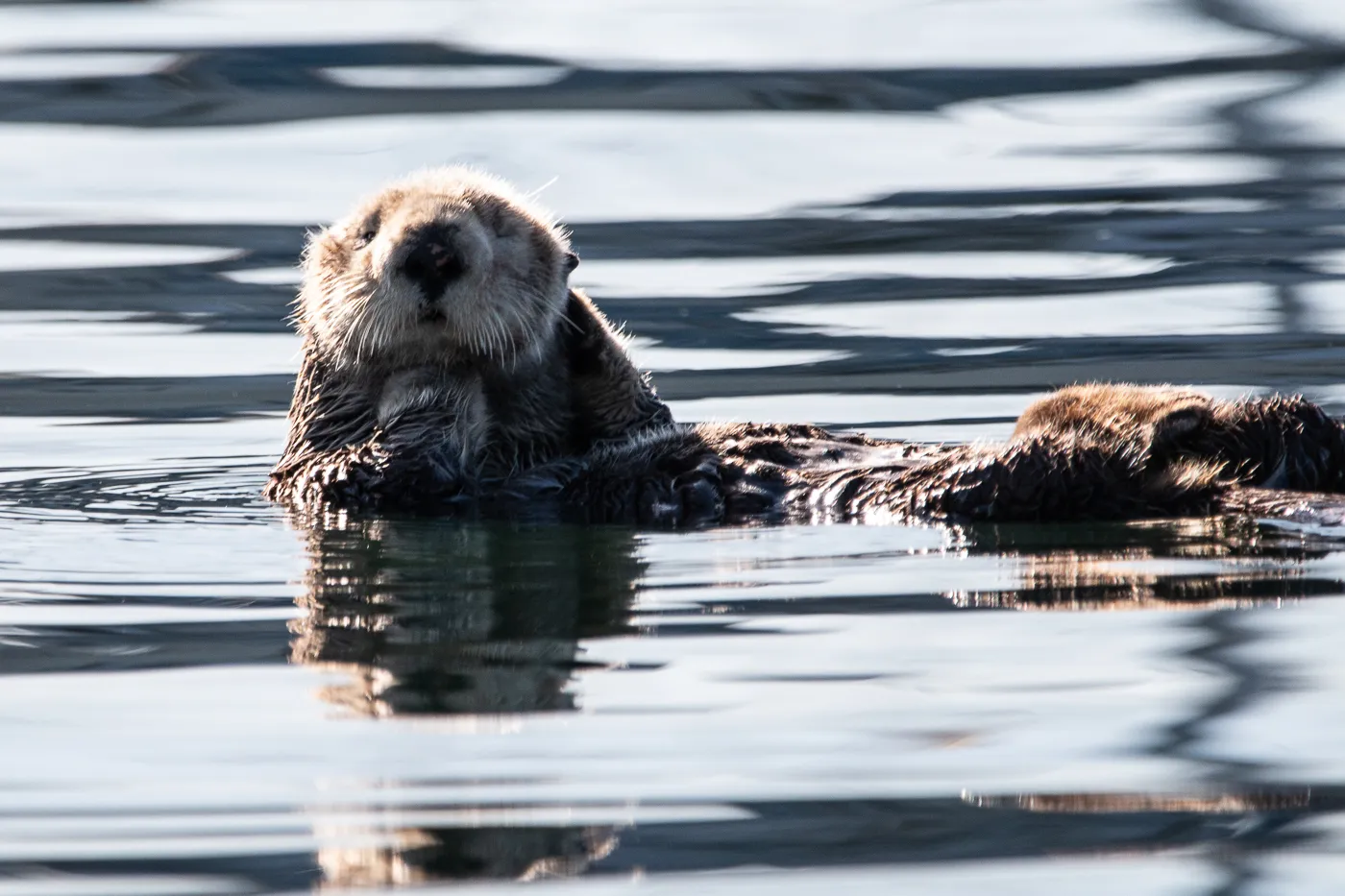Monterey, an extended stay