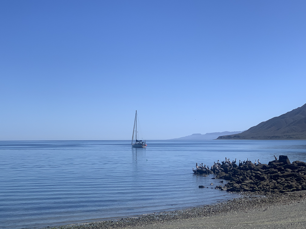 Sailing down the Baja coast s v Qu vendr